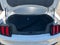 2020 Ford Mustang GT Premium Fastback