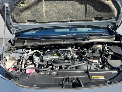 2025 Toyota Prius XLE